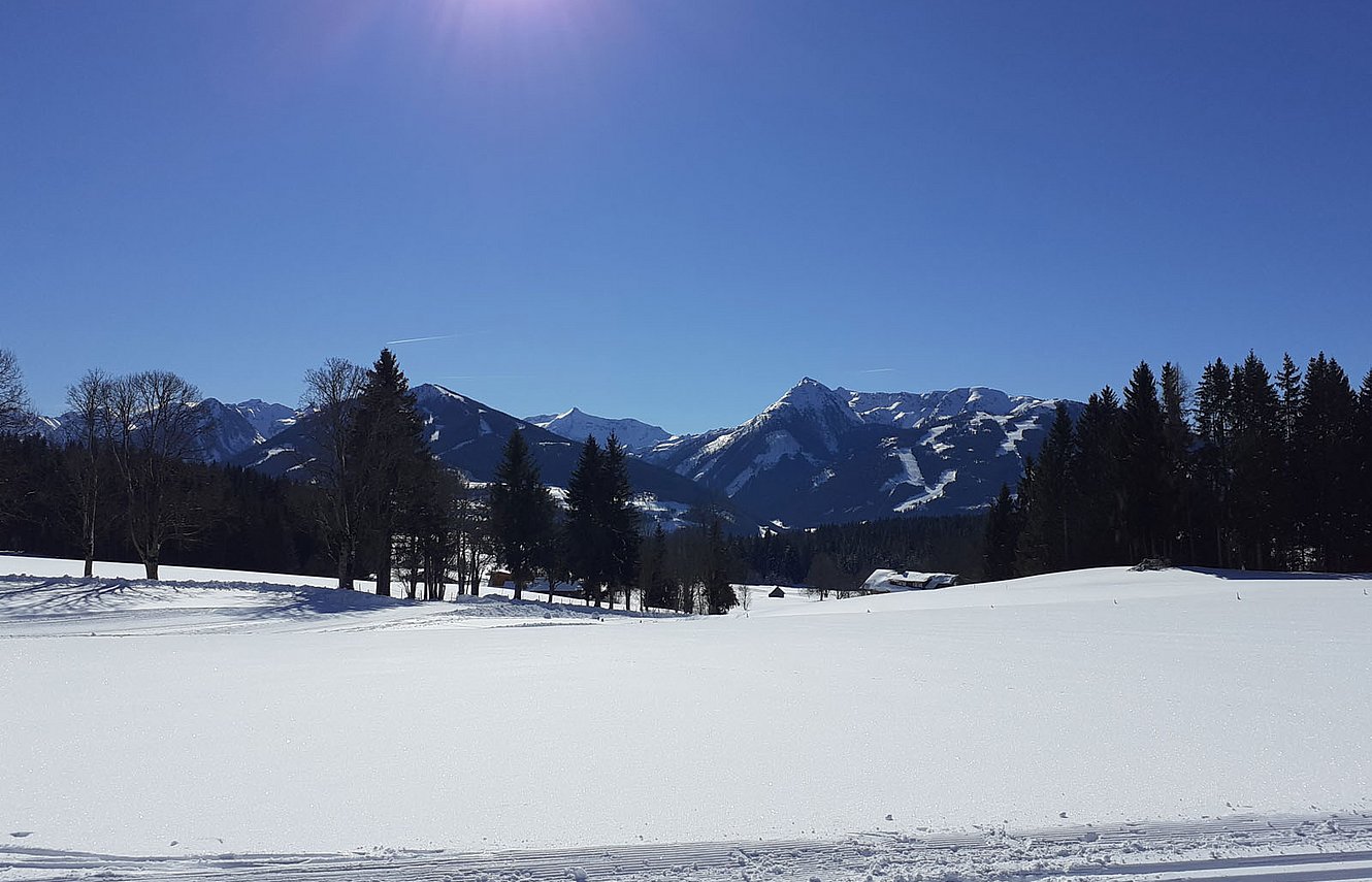 Snowy winter landscape with trees and view of snow-covered mountains