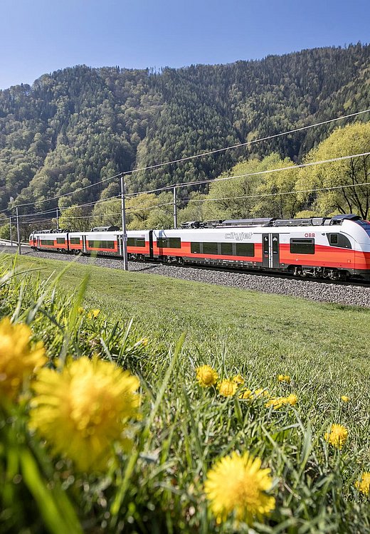 ÖBB Cityjet-Zug fährt durch grüne Landschaft mit Wiesen und Bergen