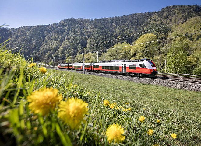 ÖBB Cityjet-Zug fährt durch grüne Landschaft mit Wiesen und Bergen