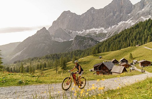 Eine Frau fährt im warmen Abendlicht auf einem Mountainbike einen Schotterweg entlang, im Vordergrund blühen gelbe Blumen und im Hintergrund ragt die Bergkette empor