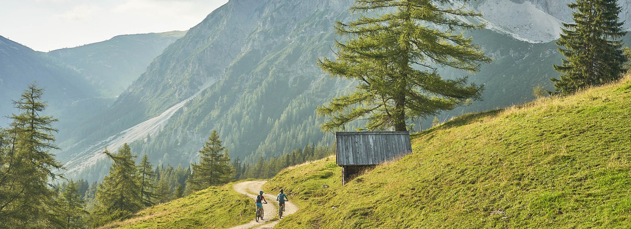 Biker auf einem Radweg am Dachstein