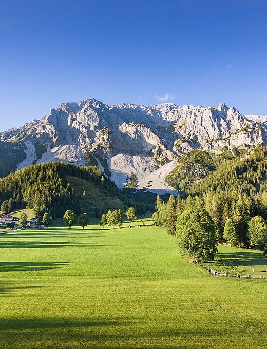 Weite grüne Wiese mit Almwiese, Hotel und steilem Berghang im Sonnenlicht