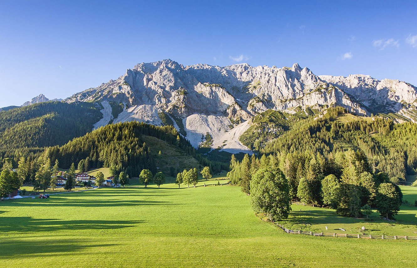 Weite grüne Wiese mit Almwiese, Hotel und steilem Berghang im Sonnenlicht