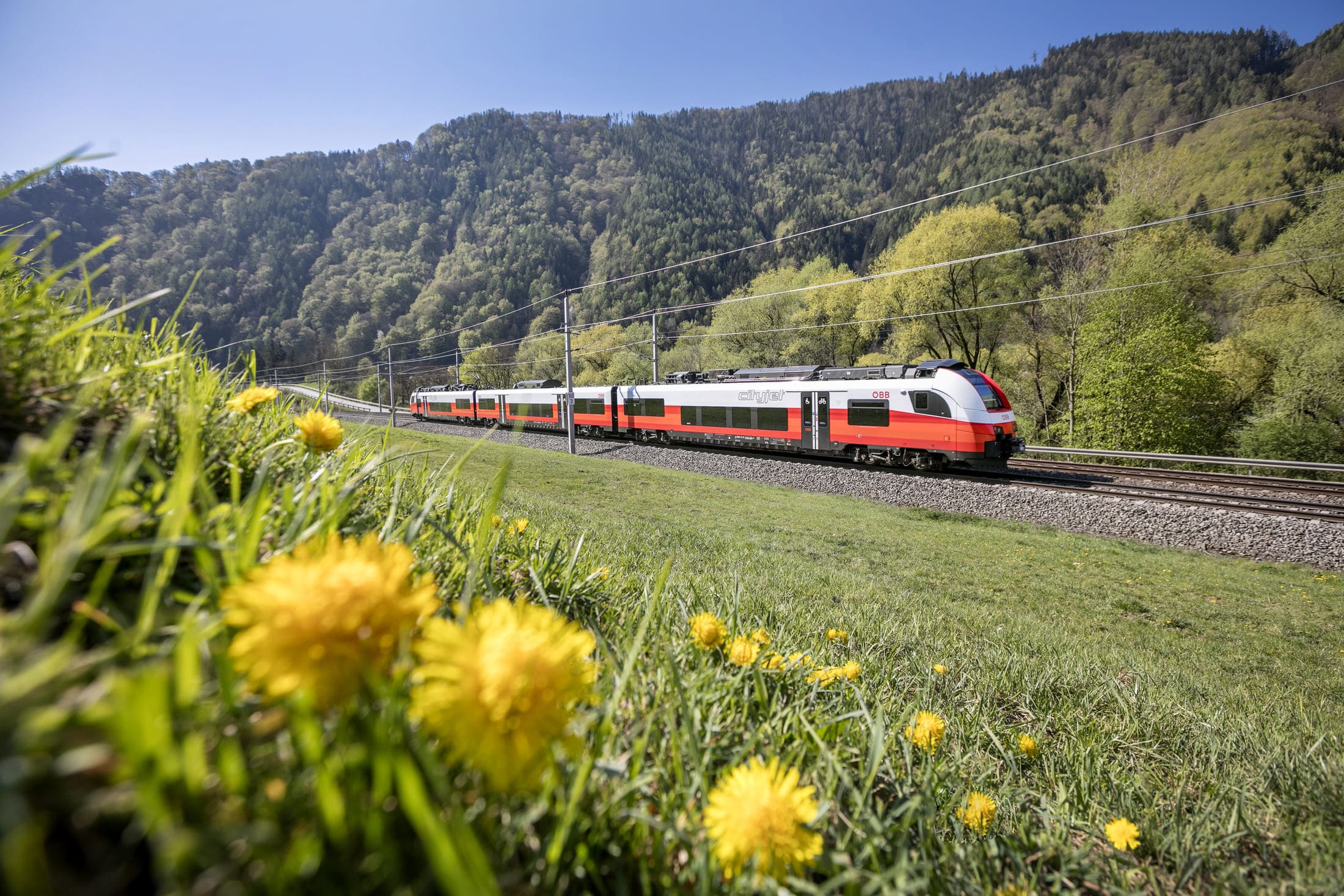ÖBB Cityjet-Zug fährt durch grüne Landschaft mit Wiesen und Bergen